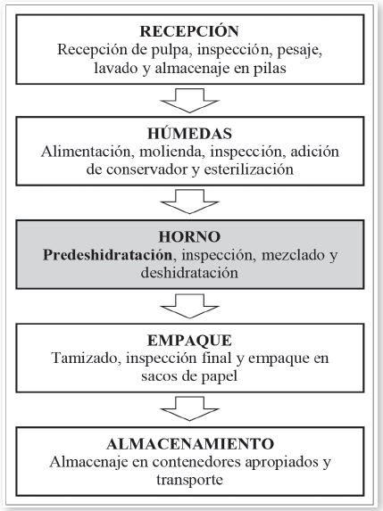 Proceso de producción de coco molido deshidratado de la empresa.