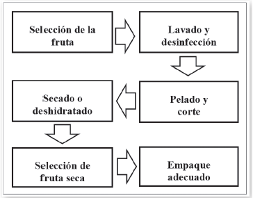Procesode deshidratación típico de frutas.