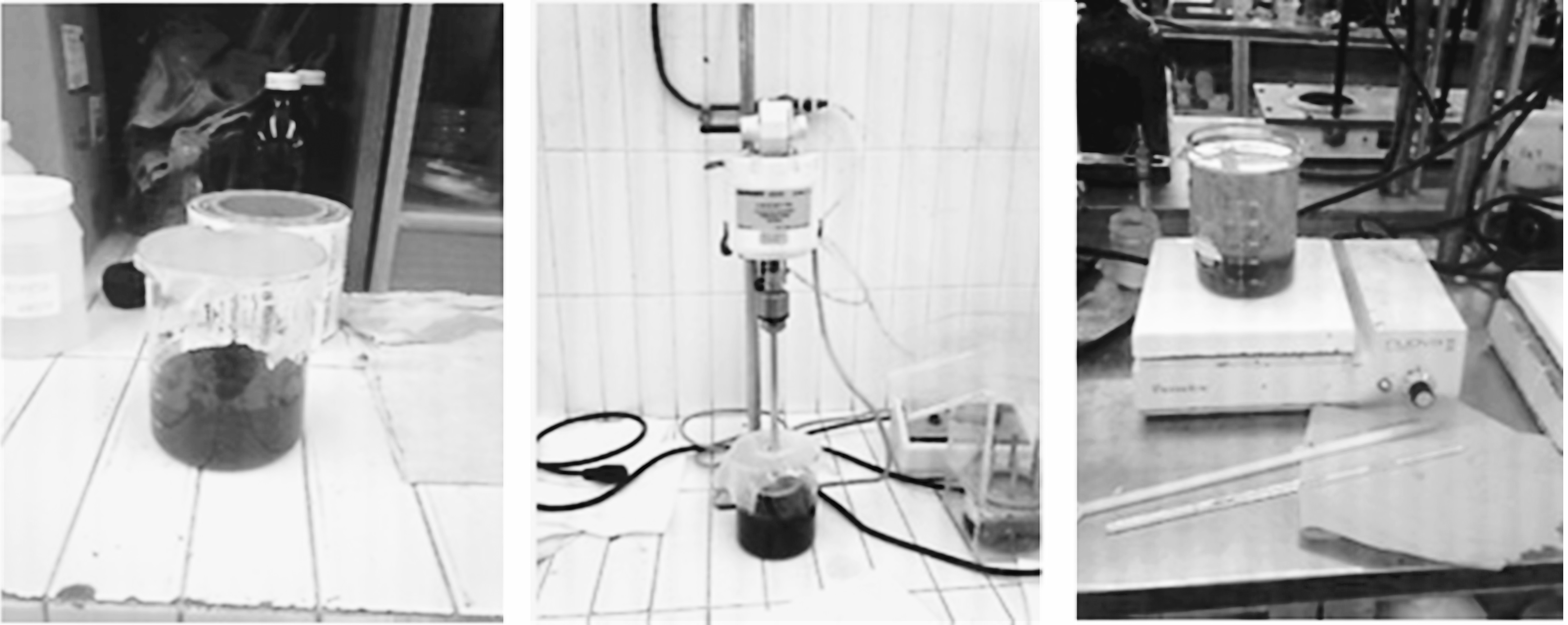 Maceraci&oacute;n y extracci&oacute;n de la hoja