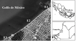 Mapa de localizaci&oacute;n
  de las estaciones de muestreo en el malec&oacute;n de la ciudad de Champot&oacute;n, Campeche.