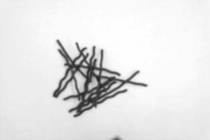 Fibras
producidas a partir de alambre recocido