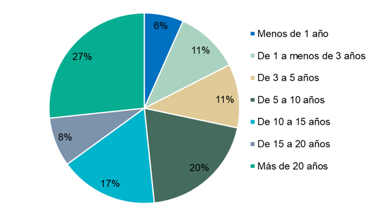 Antigedad en la IES