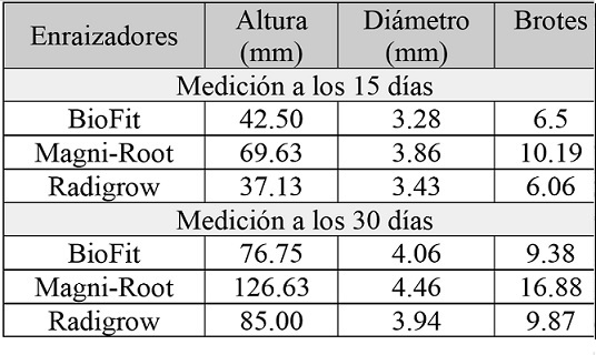 Mediciones a los 15 y 30 d�as de haber inducido los enraizadores