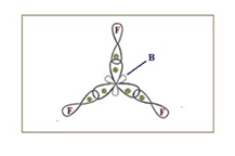 Esquema del traslape de orbitales hbridos y orbitales atmicos en el BF3.