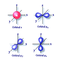 Forma de los orbitales electrnicos individuales s y los tres diferentes tipos p.