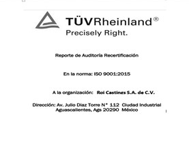 Reporte de auditor&iacute;a.