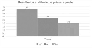 Resultado auditor&iacute;a primera parte.