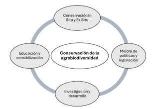 Las cuatro �reas estrat�gicas para la conservaci�n de la agrobiodiversidad