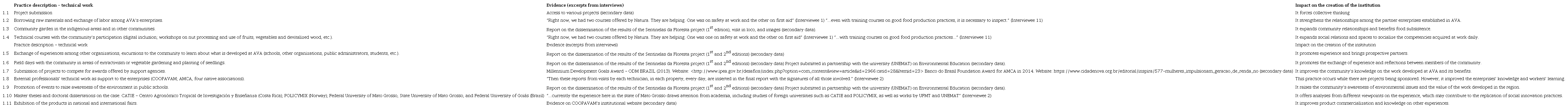 Practices of technical institutional work