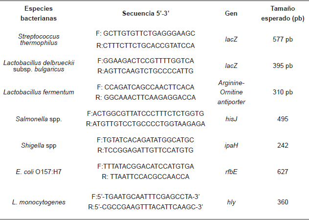 OLIGONUCLE&Oacute;TIDOS USADOS EN ESTE ESTUDIO