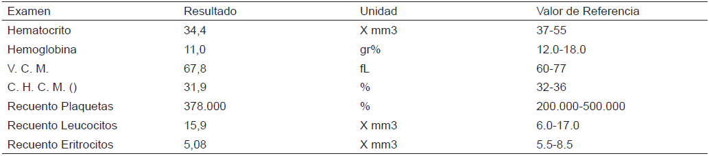 HEMOGRAMA COMPLETO D&Iacute;A 2 DE EVALUACI&Oacute;N
