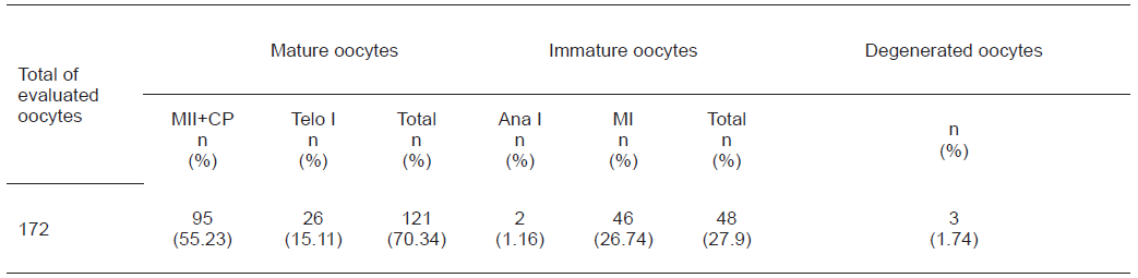 NUCLEAR MATURATION OF BOVINE OOCYTES