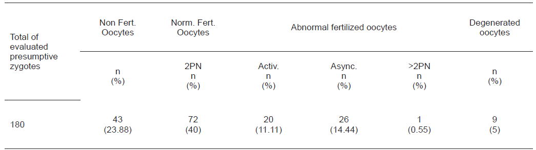 ASSESSMENT OF IN VITRO FERTILIZATION
IN BOVINE OOCYTES