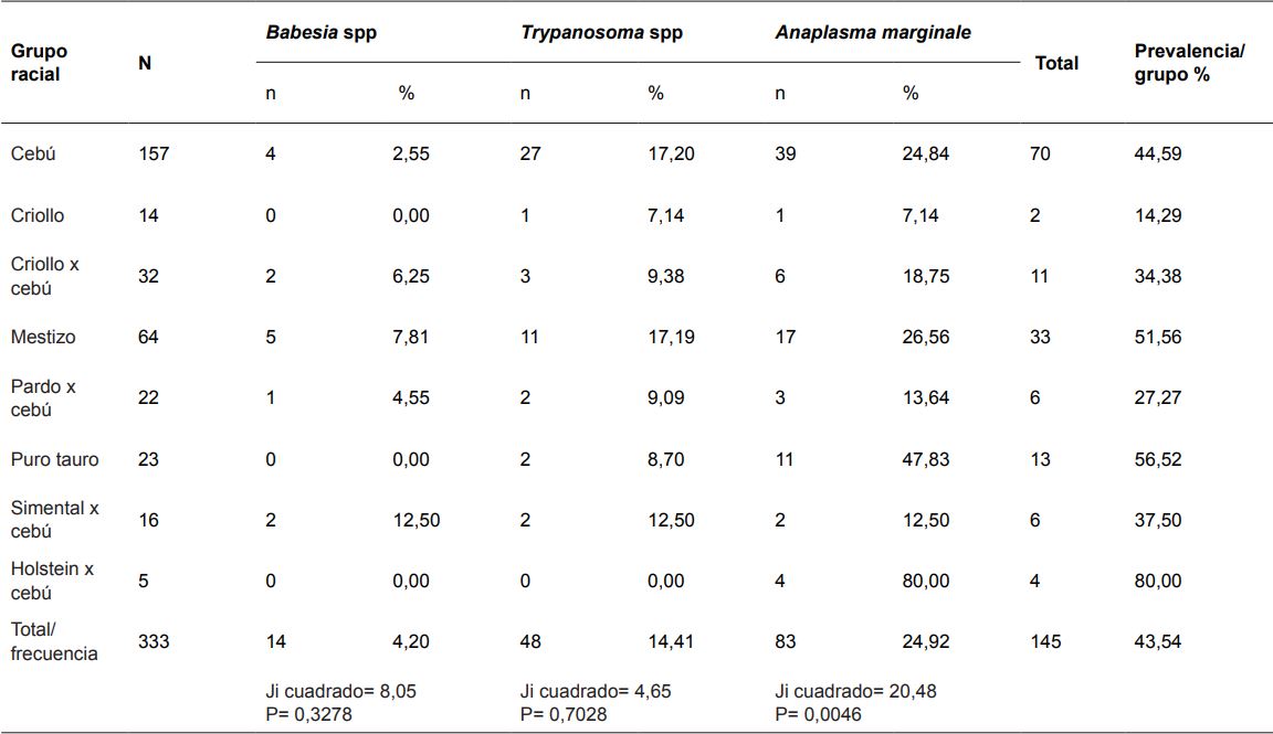 PREVALENCIA DE Babesia spp. Trypanosoma spp. Y Anaplasma marginale POR GRUPO
RACIAL EN 18 FINCAS DOBLE PROPÓSITO EN EL MUNICIPIO DE ARAUCA