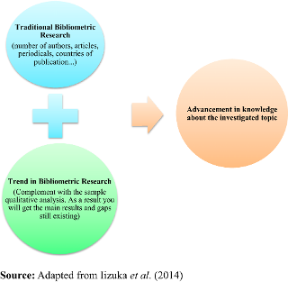 Model of bibliometric research adopted