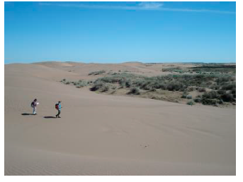 Figura 2: Campo de dunas de Coronel Dorrego
