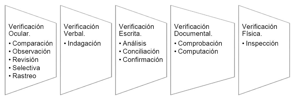 Figura 1. Técnicas de Auditoría.