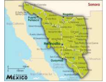 Figura 1. Localizaci�n geogr�fica de Ciudad Obreg�n.