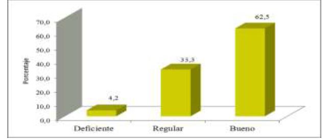 Grfico 3. Percepciones sobre el almacenamiento y transferencia del conocimiento en la Carrera de Educacin Primaria UNS