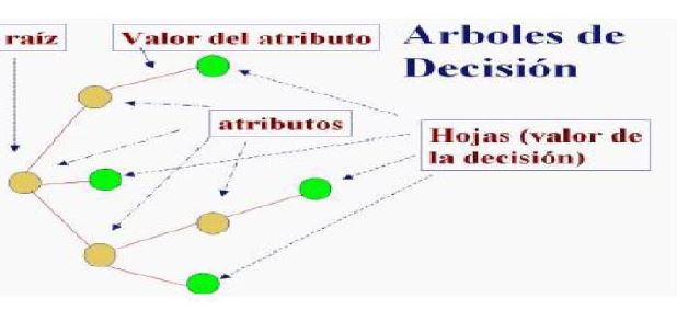 Figura 2. Árbol de decisión: características