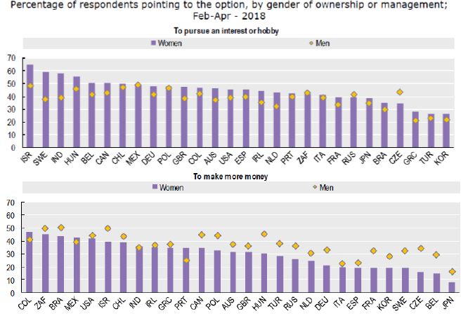 Figure 3. Motivations to set up a business.