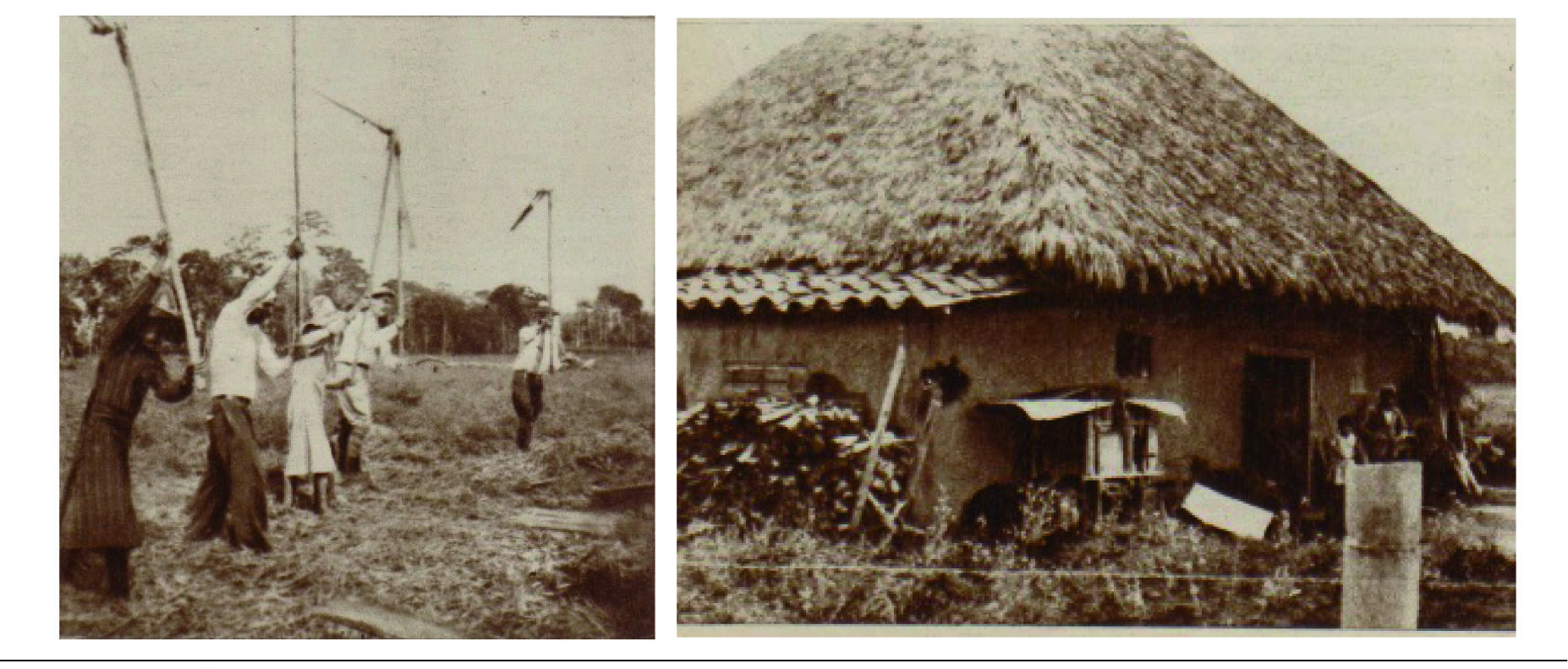 Fotografía de vivienda familiar y del trabajo familiar en El Jagual (1939)