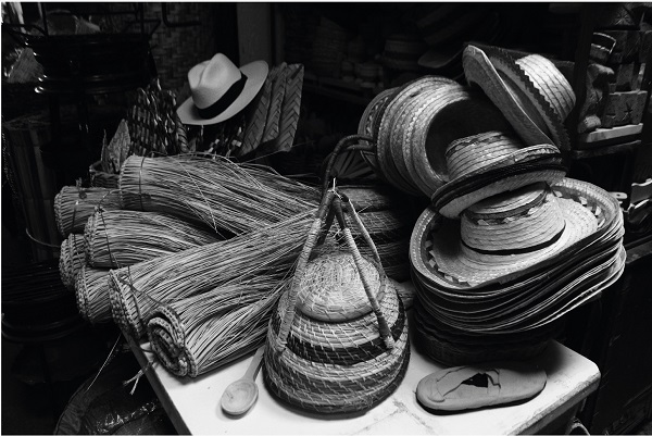Natural vegetable fibers are transformed into traditional hats and handcrafted utilitarian artifacts for farmers and local consumers. Pasto, Colombia.