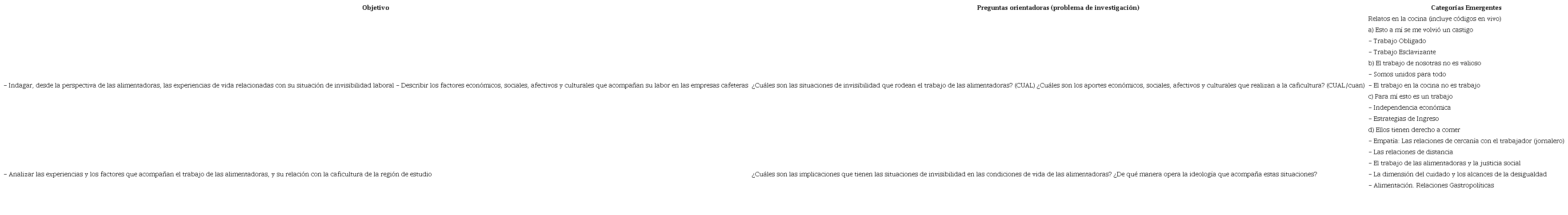 Diseño y organización de las categorías emergentes y su discusión en relación con los objetivos del estudio