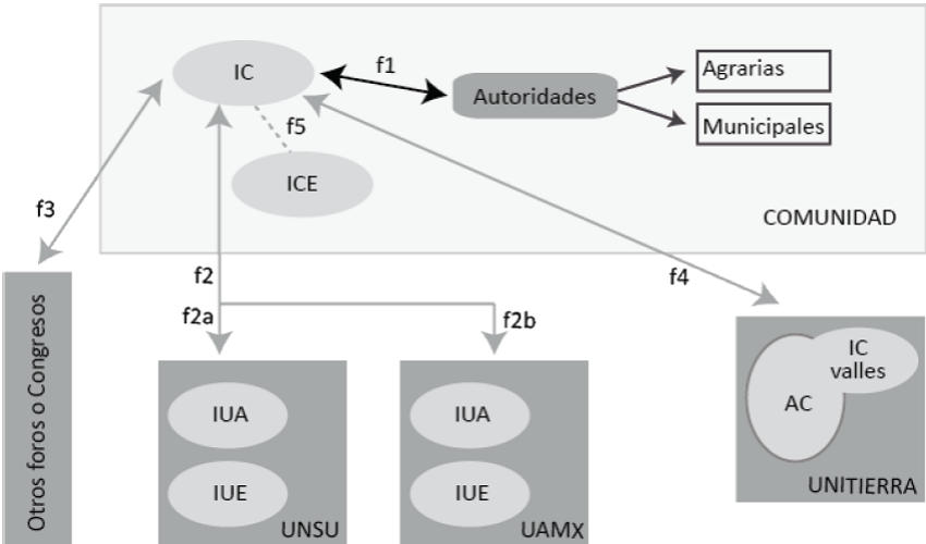 Tipo de interrelaciones del representante comunitario o del investigador comunitario. 