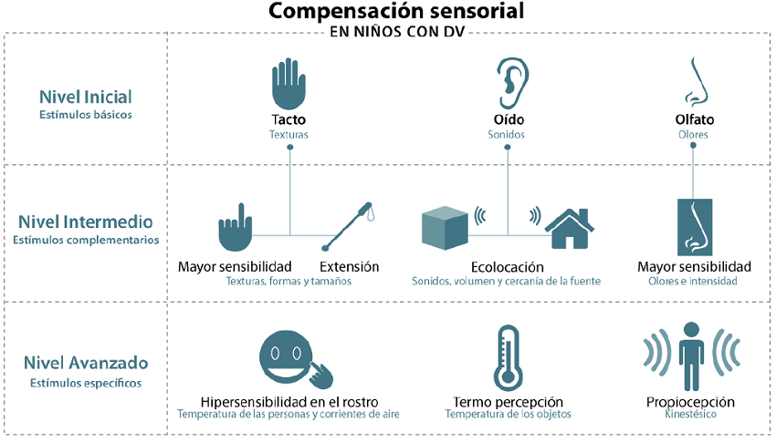 Diferentes tipos de compensación sensorial que realizan los niños con DV.