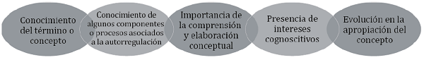 Categorías para el análisis de las problemáticas relacionadas con la comprensión de los procesos de autonomía y autorregulación y su conceptualización.