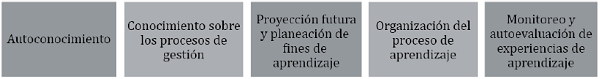 Categorías para el análisis de las problemáticas relacionadas con las competencias de gestión.