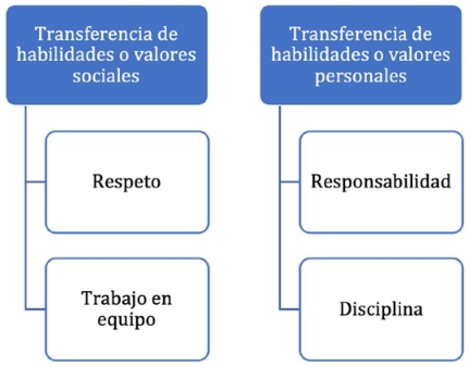 Resultado de entrevistas: categorías y subcategorías de transferencia.