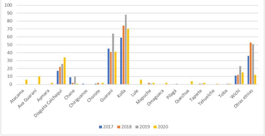 Pueblos ind�genas en la UNSa, 2017-2020