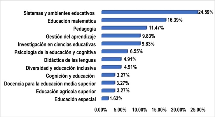 Temas abordados en los proyectos de prácticas